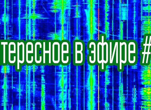 ТОП 7 - фактов про сериал ВОЛЧОНОК